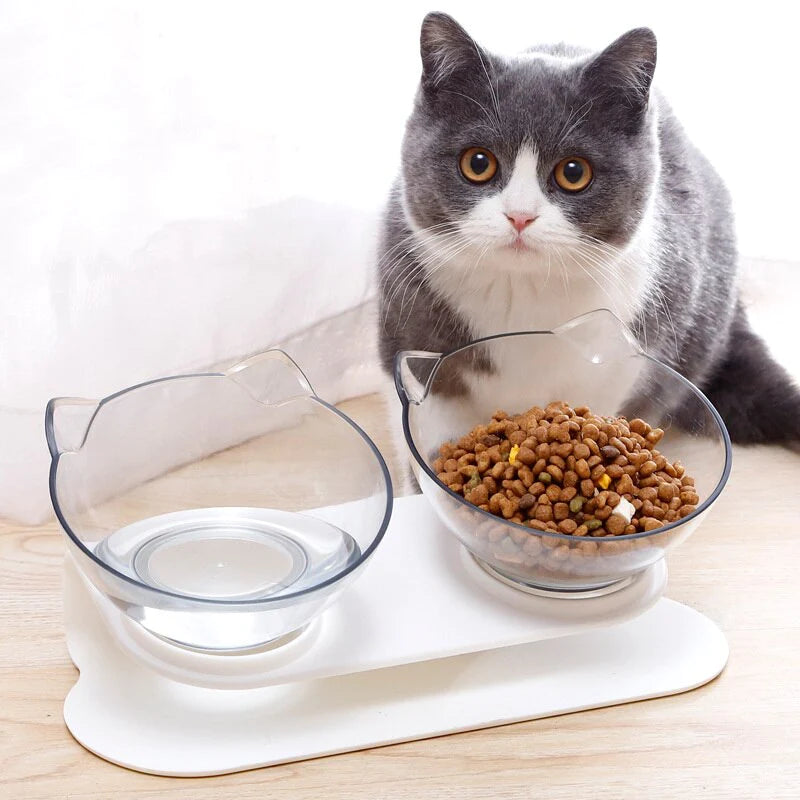 Anti Vomit Cat & Dog Bowl