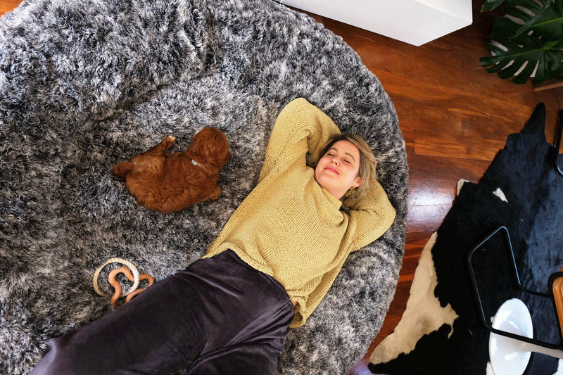 The Human Dog Bed