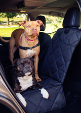 Pet Travel Car Protector